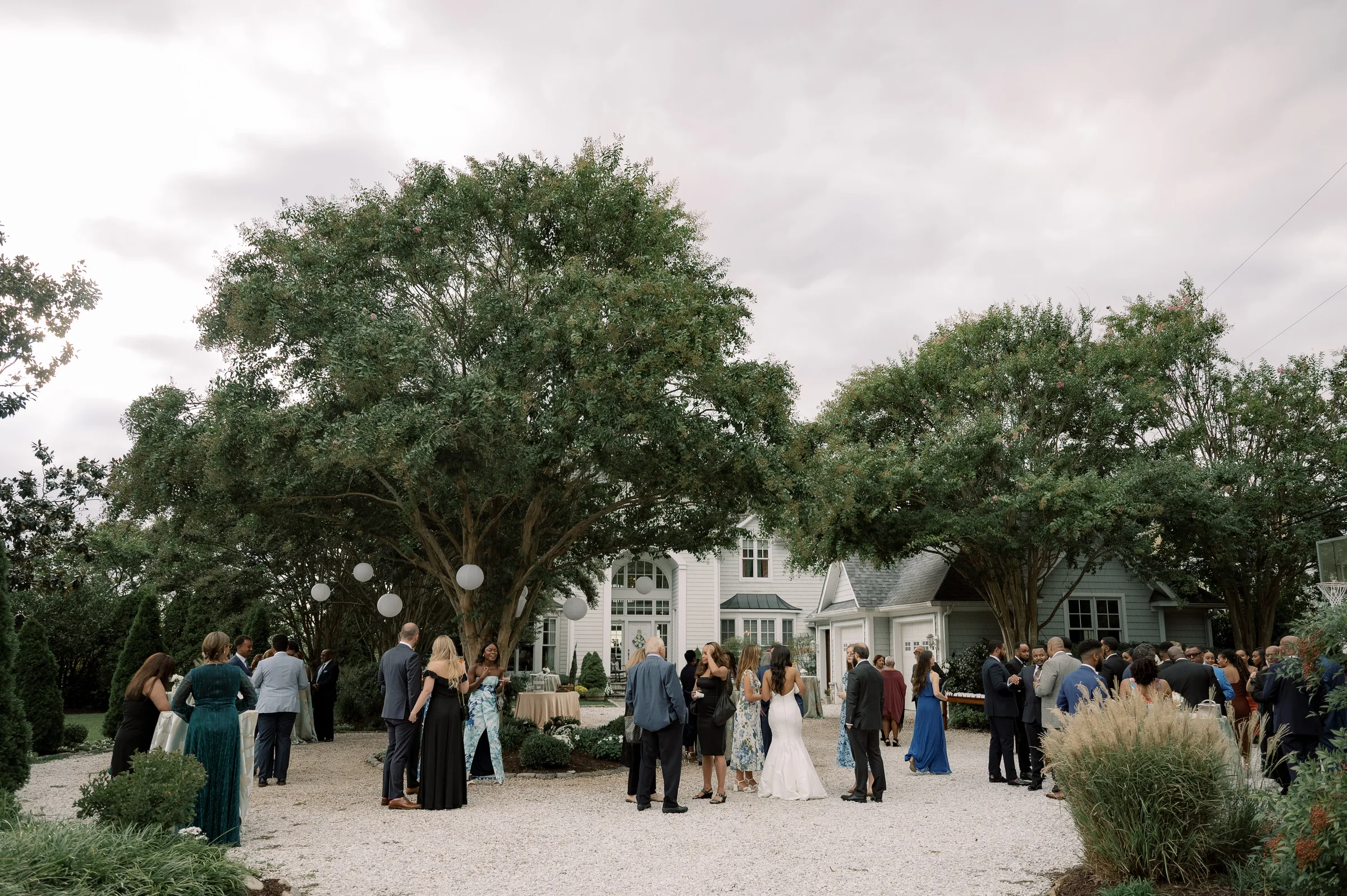 Guests gathered under crepe myrtle trees at dusk outside a coastal cottage, paper lanterns glowing above them.